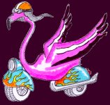 Fenix web 2